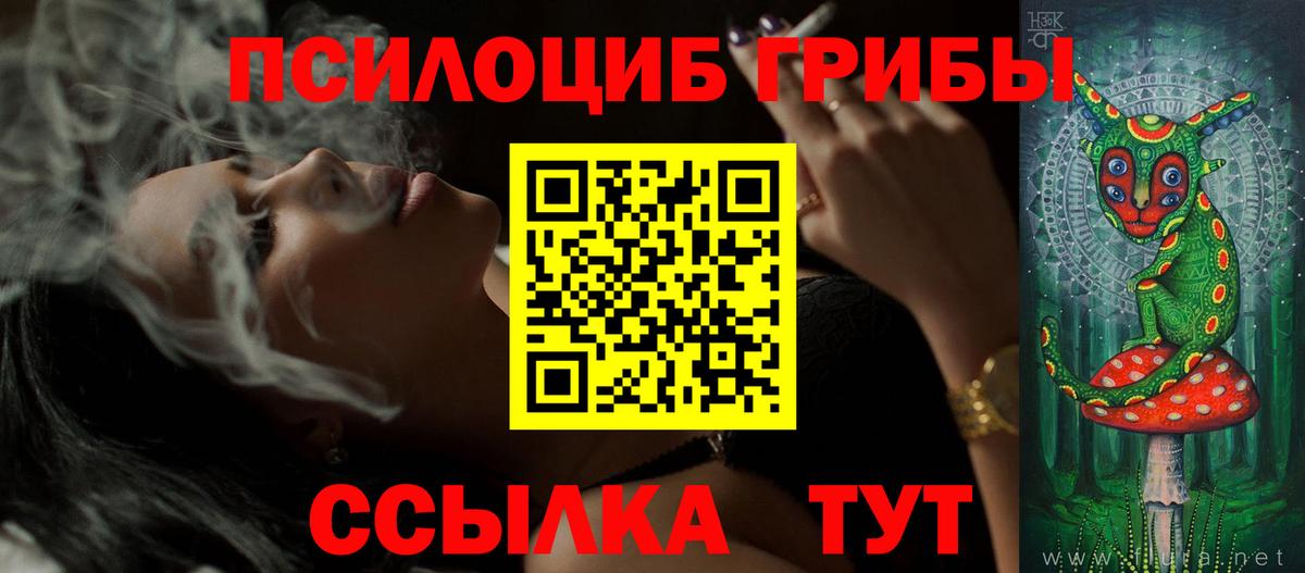Алексеевка  Псилоцибиновые грибы Psilocybe  купить наркотики цена  Вход с VPN 